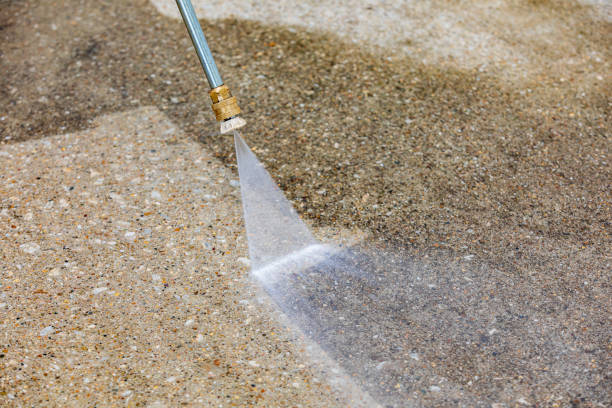 Best Gutter Cleaning  in Davis Junction, IL