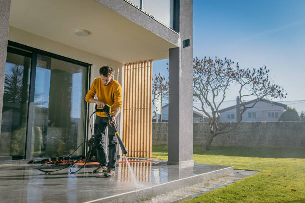 Best Sidewalk and Walkway Cleaning  in Davis Junction, IL