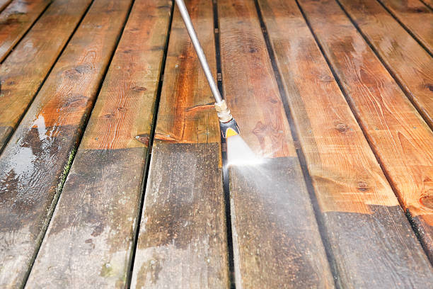 Best Residential House Exterior Washing  in Davis Junction, IL